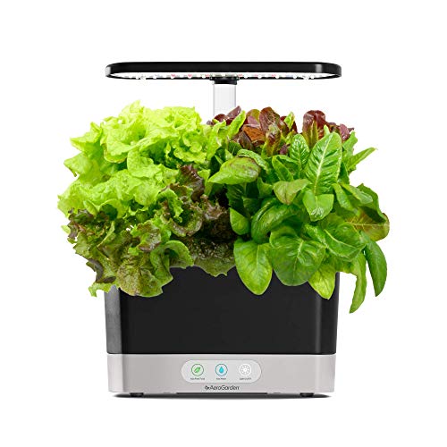 AeroGarden Harvest - V?i B? Rau Xanh Salad Heirloom (6 ...