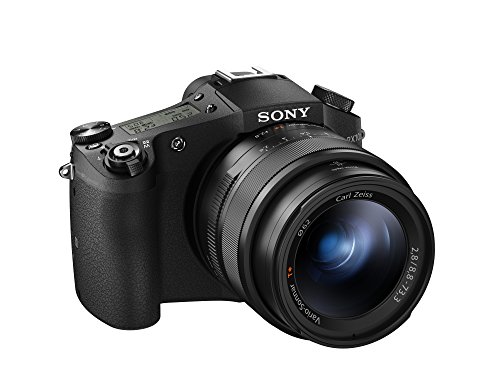 Sony Máy ?nh k? thu?t s? Cyber-shot DSC-RX10M II